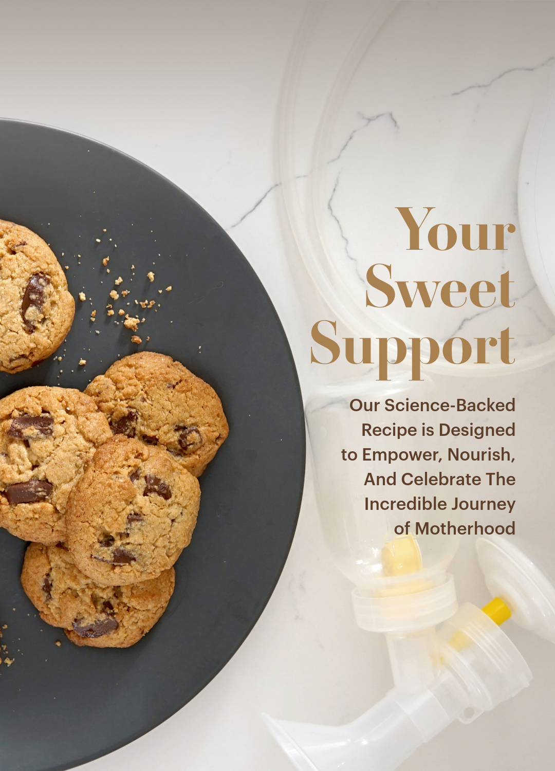 lactation cookies