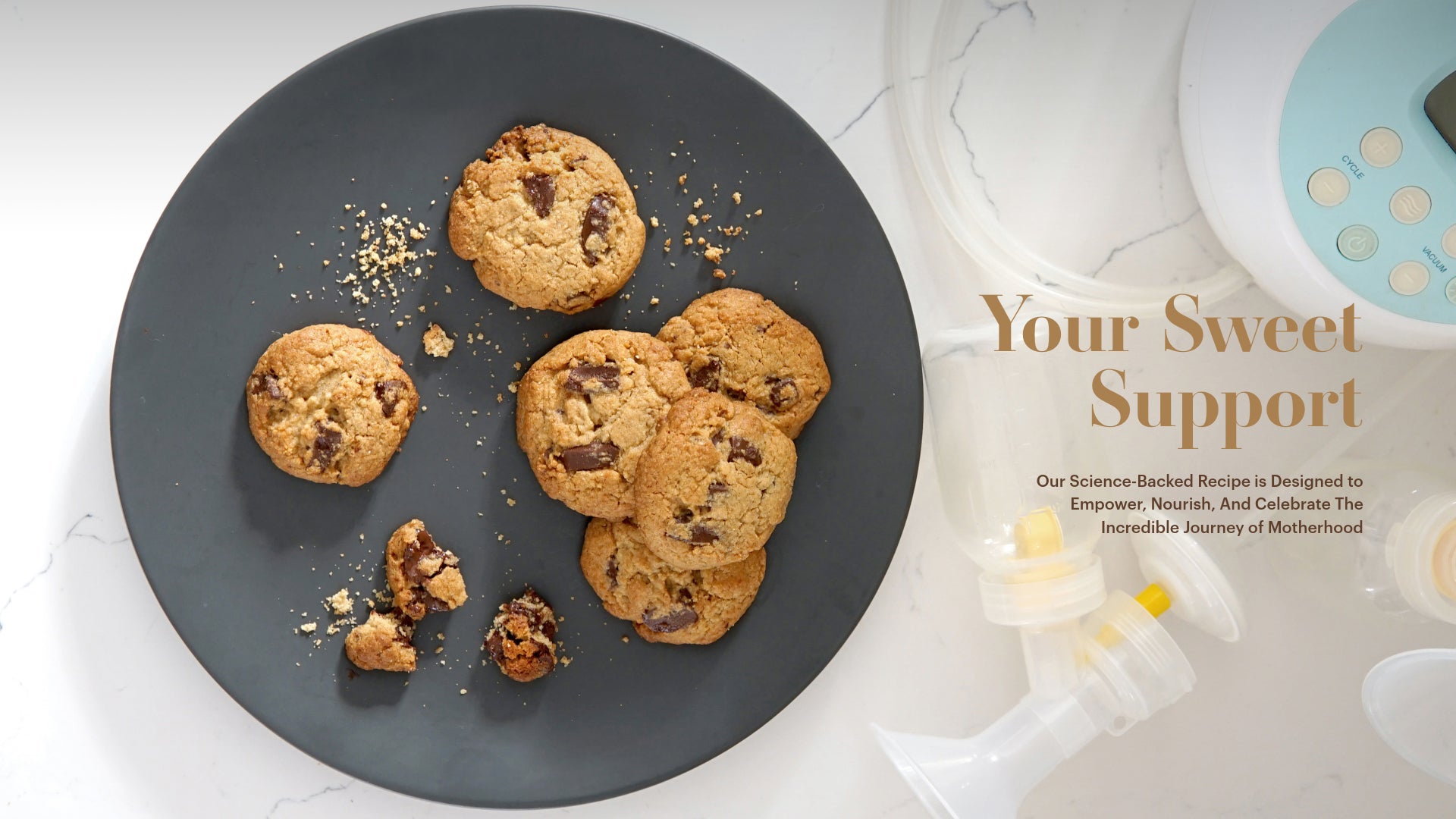 best lactation cookies